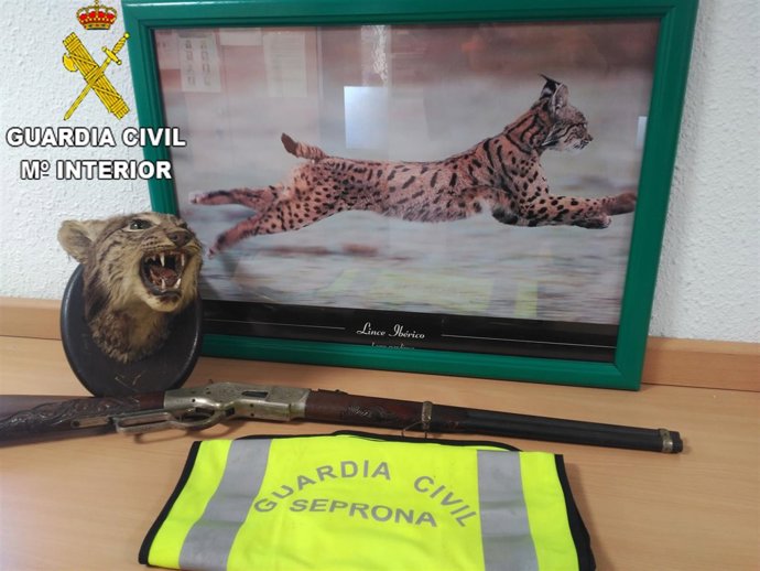 Detenido por tratar de  vender la cabeza de un lince por internet