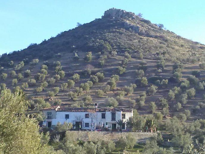 Vista del cortijo Cerro Libertad