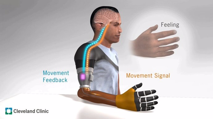 La percepción del movimiento ilusorio mejora el control para las manos protésica
