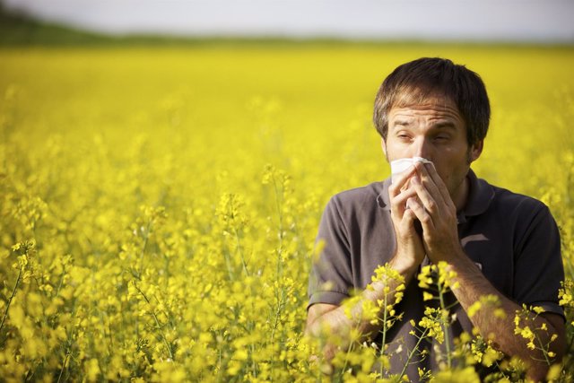 Afecciones respiratorias en primavera, asma, alergia, rinitis