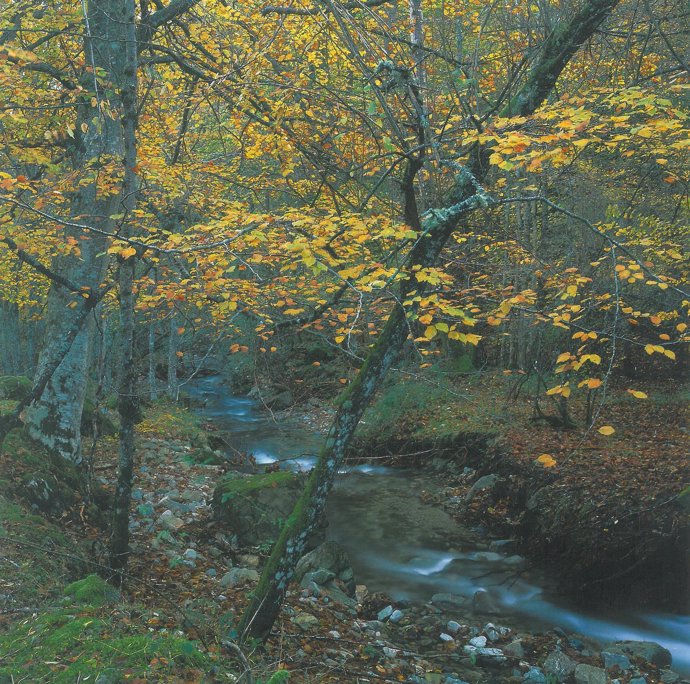 Paisaje riojano de la sierra de la Demanda