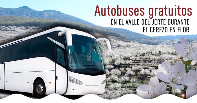 Rutas Gratuitas En Bus Para Recorrer El Valle Del Jerte Durante El Cerezo En Flo