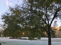A Veiga (Ourense) registra la temperatura mínima de Galicia, con -6,8ºC