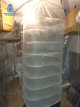 Policía Nacional Nota De Prensa Y Foto "La Policía Nacional Desmantela Dos Labor