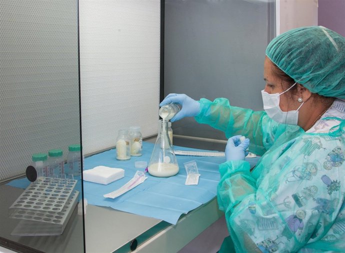 Balance del Banco de Donación del Hospital Virgen del Rocío