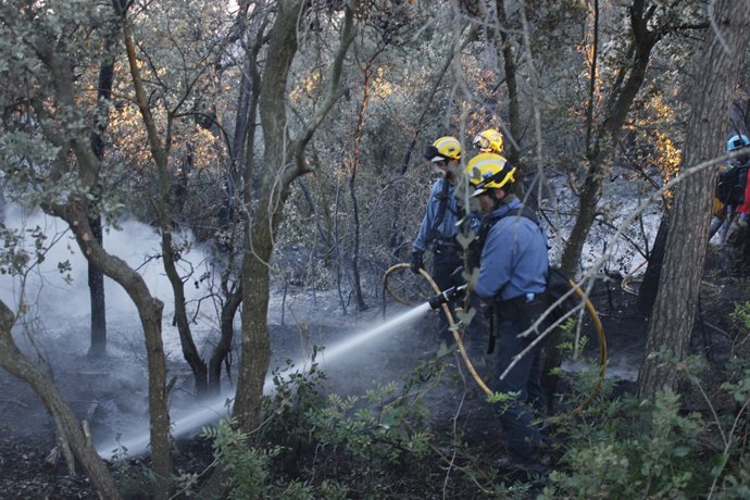 Bombers en l'incendi de Vilopriu Baix Empordà
