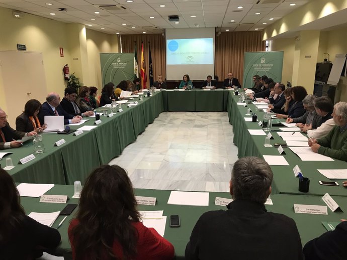 Se constituye el Consejo Andaluz de los Servicios Sociales