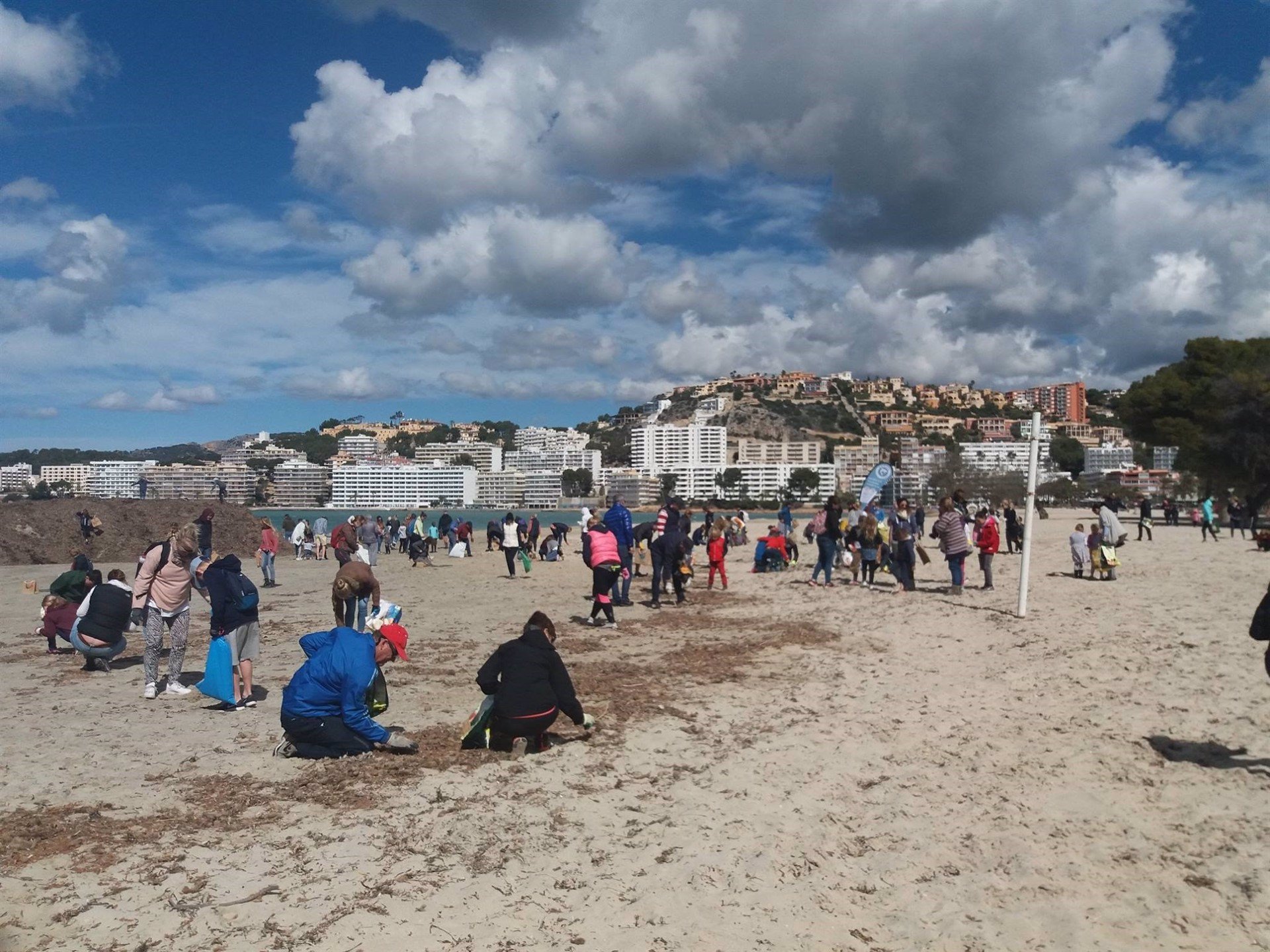 Unos 180 voluntarios participan en la limpieza de la playa de Santa Ponça con la retirada de 67kg de residuos