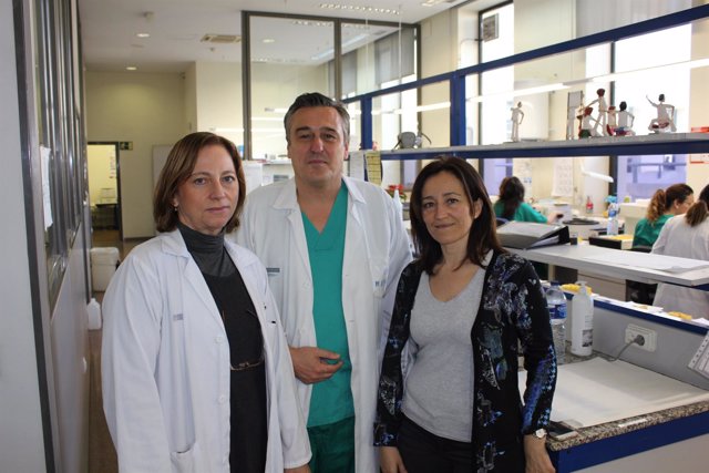 Los investigadores de la UPV que han participado en el desarrollo
