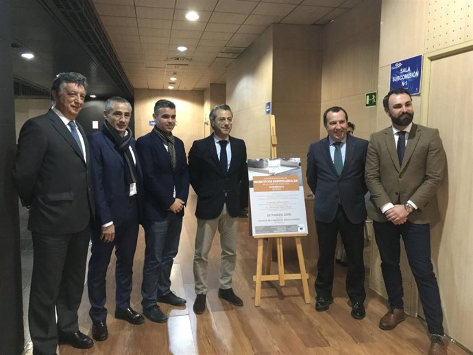 Presentación incentivos agencia IDEA en Marbella Ruiz Espejo y Ruiz Araujo