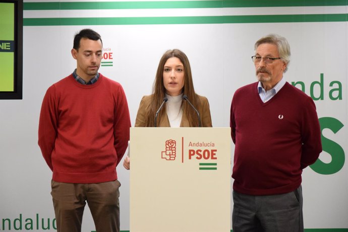 PSOE Ana Villarejo Rafael Granados
