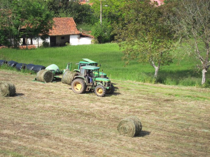Imagen de archivo del campo asturiano, Política Agraria Común, PAC