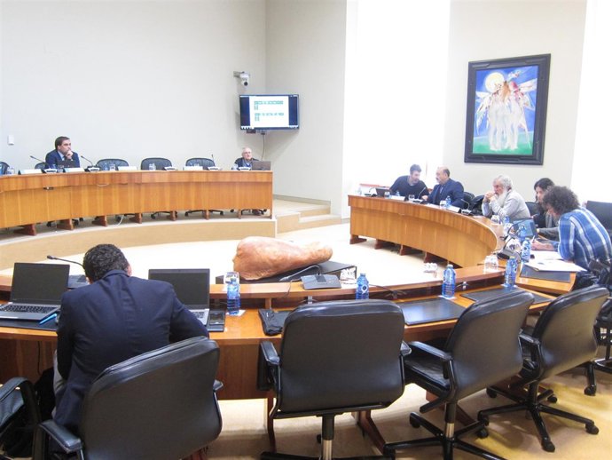 Alberte Blanco En La Comisión De Incendios