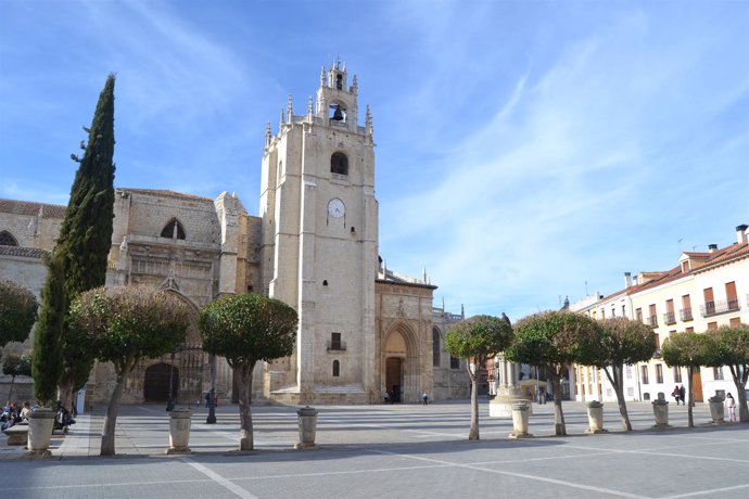 Palencia. Catedral de Palencia
