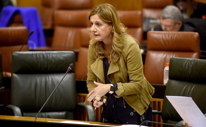 La consejera de Salud en el Pleno del Parlamento