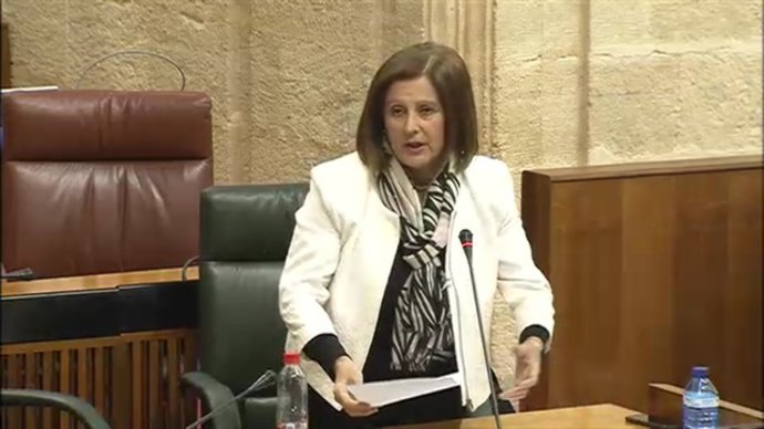 Sánchez Rubio en el Parlamento