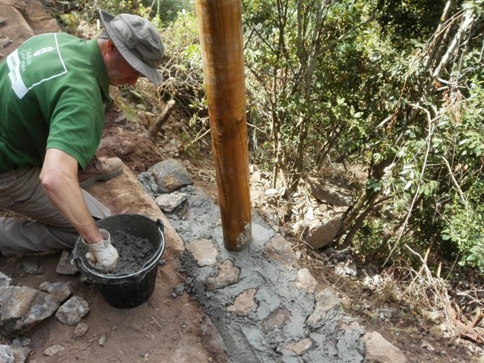 Sendero circular de los Tilos de Moya