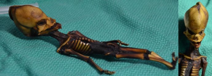 Esqueleto momificado de la región de Atacama en Chile.