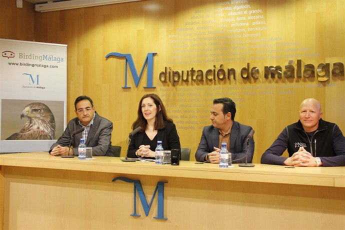 Marina Bravo Diputación de Málaga