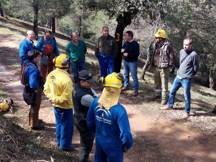 Operativos del Infoca realizan trabajos de prevención de incendios en Jaén
