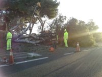 El 112 registra medio centenar de incidencias por el fuerte viento en la provincia de Málaga
