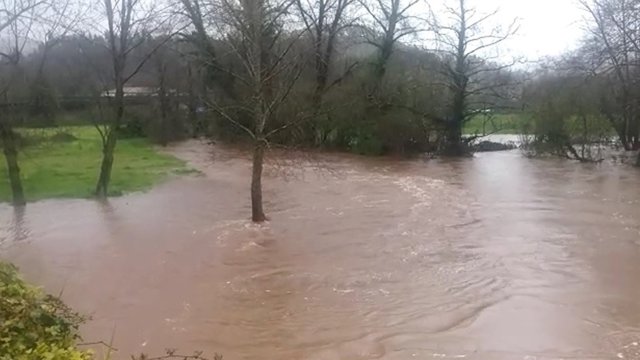 El río Linares en Villaviciosa en situación de 'seguimiento' por la