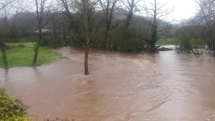 Imagen del río Linares.