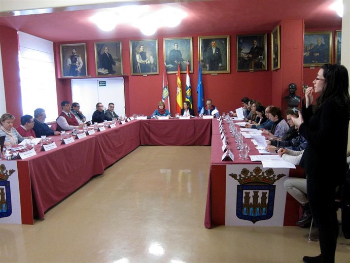 Imagen del Consejo, con la intérprete de signos                          