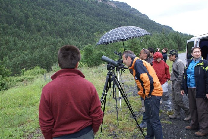 Un grupo de personas observa aves. 
