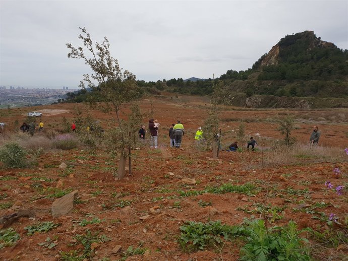 Veïns plantant arbres a la zona del Turó de Montcada i Reixac