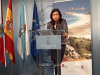 El Gobierno de Vigo advierte que el proyecto del Celta en Mos interfiere en el patrimonio y los intereses de la ciudad