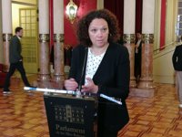 Gobierno expresa discrepancias sobre la carrera profesional, sanidad universal y el impuesto turístico en cruceros