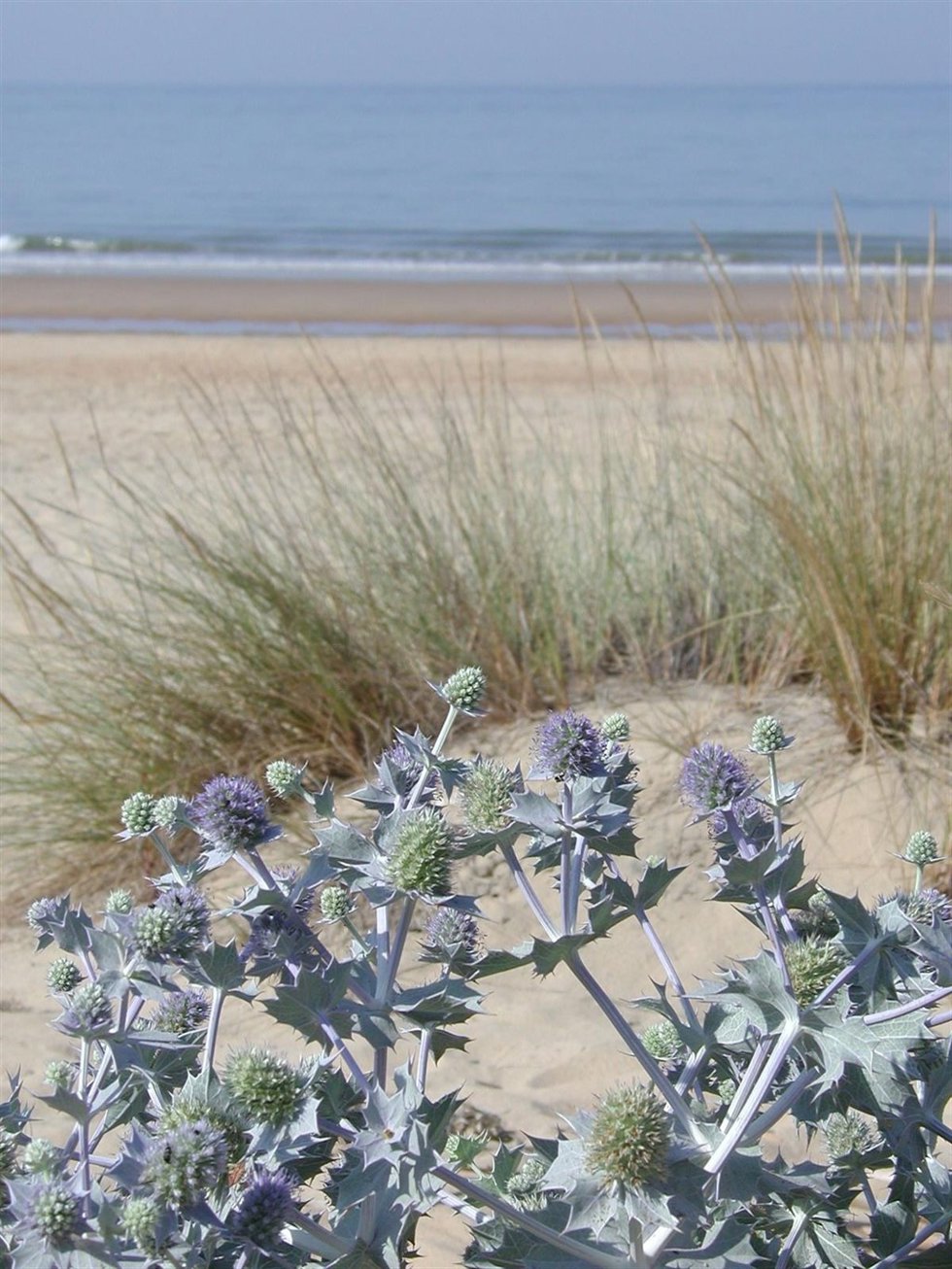 Playa de Huelva.