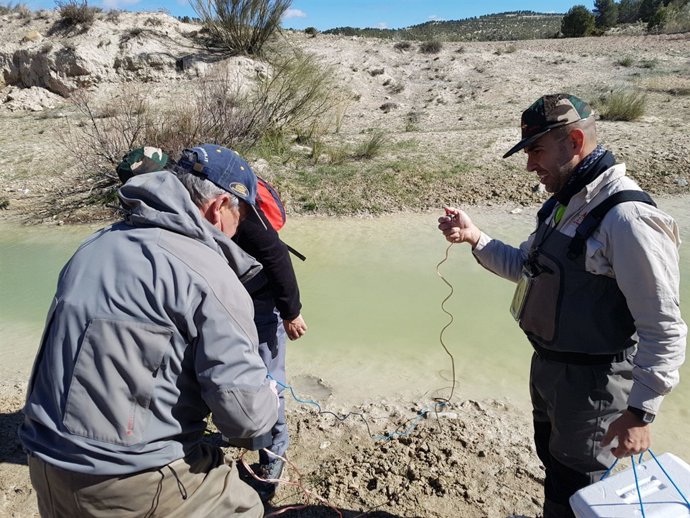 Voluntarios realizan un muestreo en el río Alcaide 