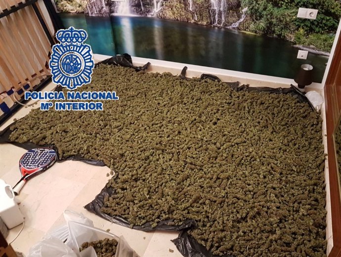 Desarticulada una red de tráfico de marihuana y hachís