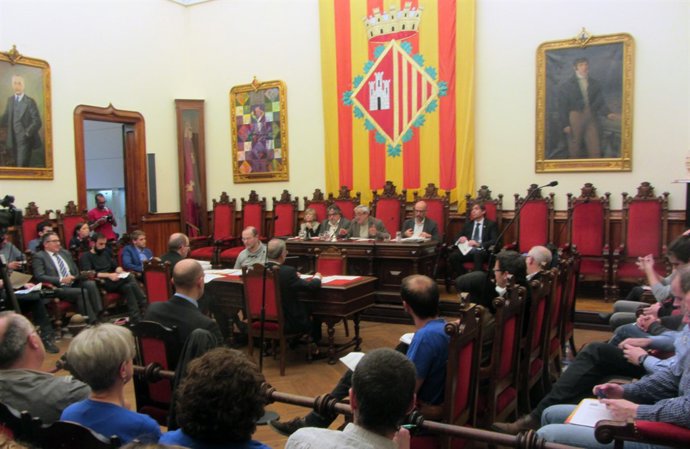 Ple de Terrassa celebrat aquest dijous 22 de març (Foto d'arxiu)