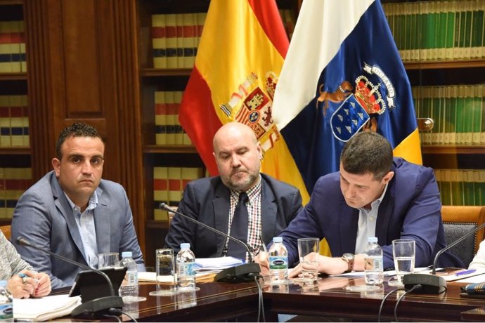 Comparecencia del presidente del CERMI en el Parlamento de Canarias