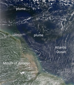 El carbono orgánico disuelto de los ríos Amazonas se extiende al Atlántic
