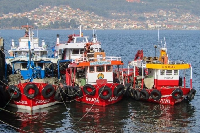 Pesqueros en el Puerto de Vigo