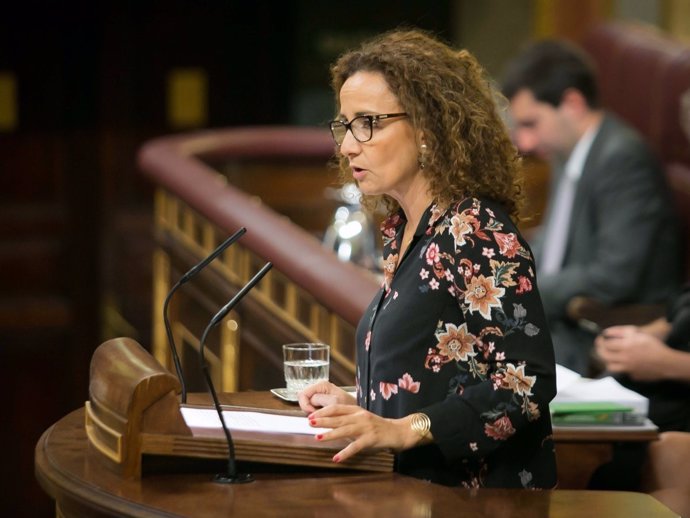 La diputada Pilar Lucio, del PSOE, en el Pleno del Congreso