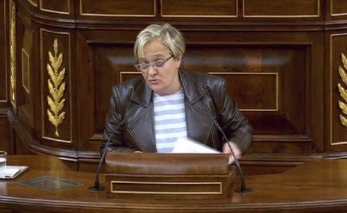 La diputada del PSOE Ángeles Álvarez