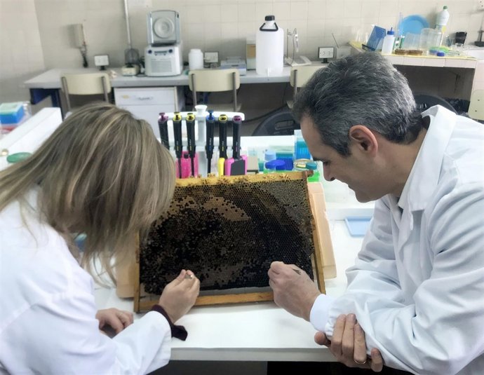 C. Sara Hernández y Joel González, en la Facultad de Ciencias Biológicas