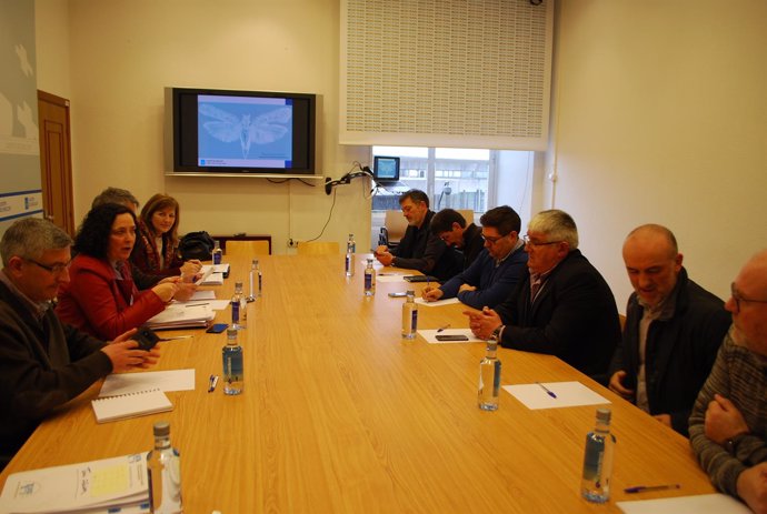 Reunión de Xunta y alcaldes de A Costa da Morte sobre la plaga de la patata