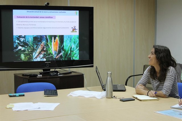 Momento de la reunión