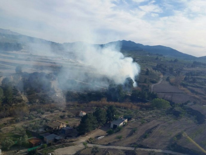 Imagen del lugar del incendio declarado en los márgenes del pequeño río Benidorm