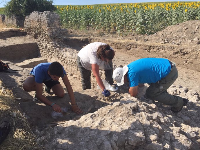 Excavaciones en la Ciudad Romana, en Duratón. Archivo