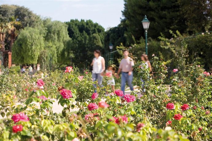 Jardines De Viveros En Valencia