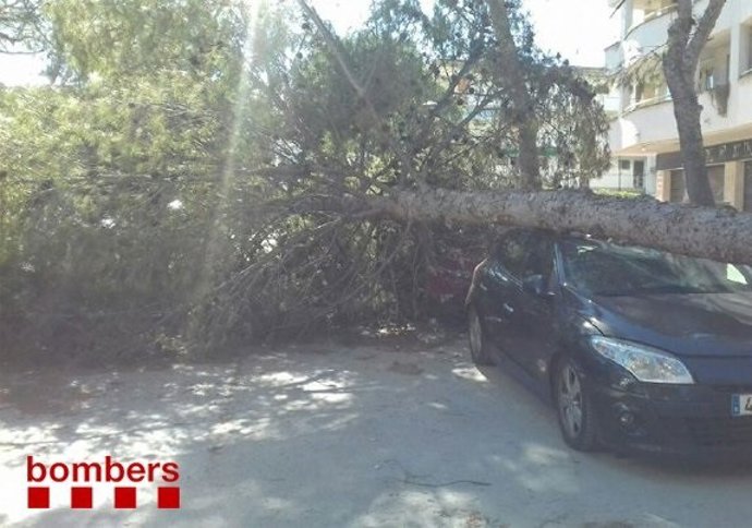 Retirada d'un arbre caigut sobre un cotxe aparcat a Salou (Tarragona)