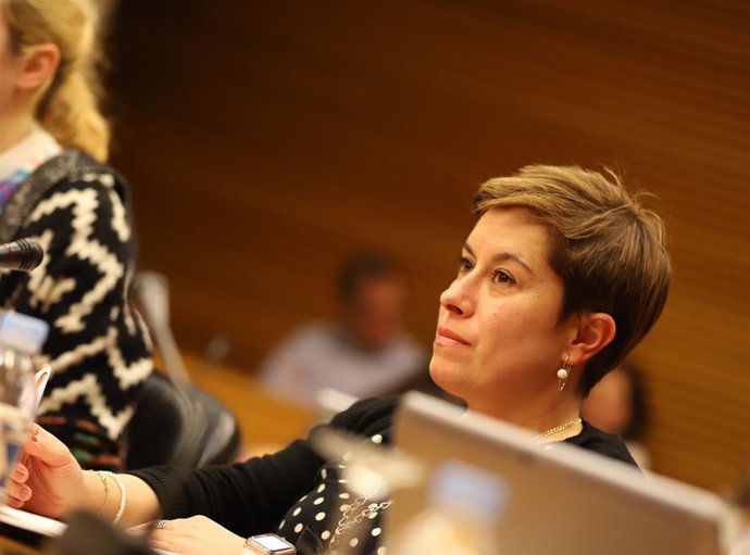 La diputada de la formación naranja en una comisión