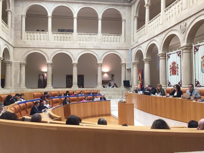Pleno del Parlamento de La Rioja